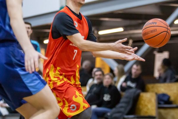 Февраль в объективе фотографа