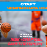 Новости НБЛ: старт Чемпионата 2026-2027