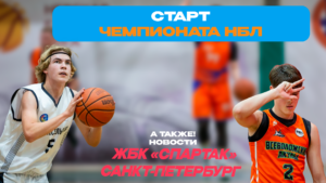 Новости НБЛ: старт Чемпионата 2026-2027